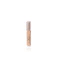 Flawless Finish Skincaring Concealer